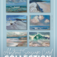 BOXED SET OF (6) SEASCAPE ABSTRACT COLLECTION Blank Art Cards