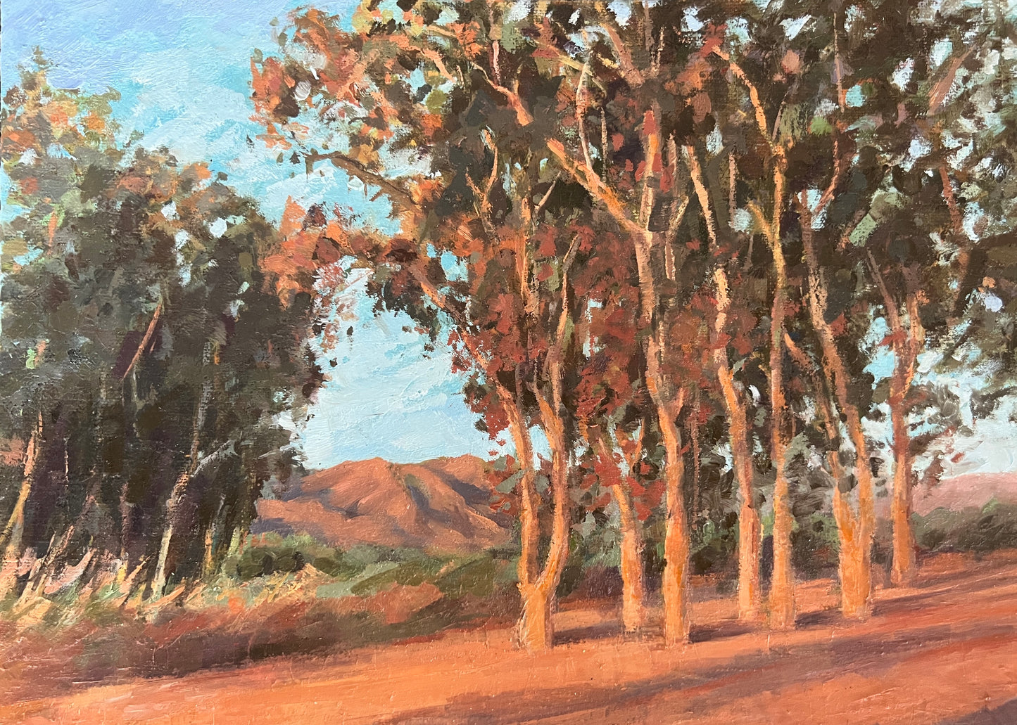 EUCALYPTUS GROVE - Late afternoon at Ojai Meadows - Original (JUST REDUCED)