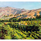SANTA PAULA CANYON LANDSCAPE - Giclee Reproduction Print of Original Oil Painting